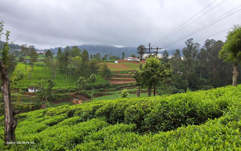 Others 5, BVK Mount Home, The Nilgiris