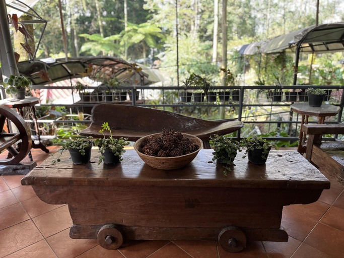 Public Area 4, The Pinewood Lodge & Organic Farm, Bogor