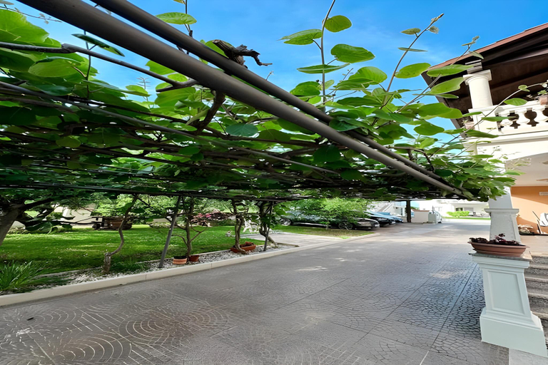 4, Premium Apartment Seaview, Poreč