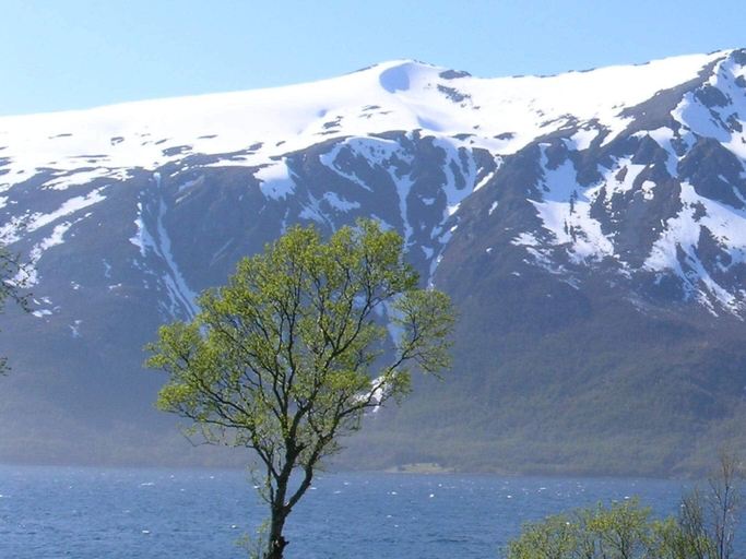 Others 3, person holiday home in Gullesfjord, Kvæfjord