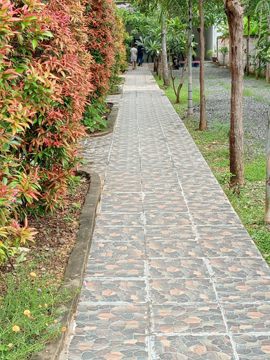 Exterior & Views 5, Sisilia Lodge, West Manggarai