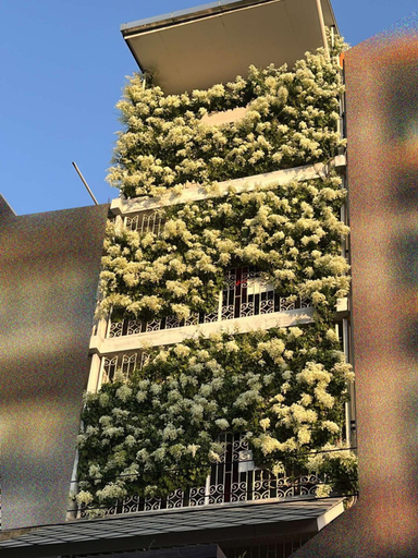 Exterior & Views 1, WiNNiNE Cozy Home, Phra Khanong