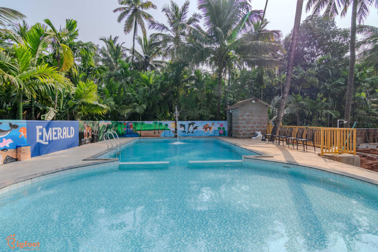 Sport & Beauty 4, Emerald Resort, Raigarh