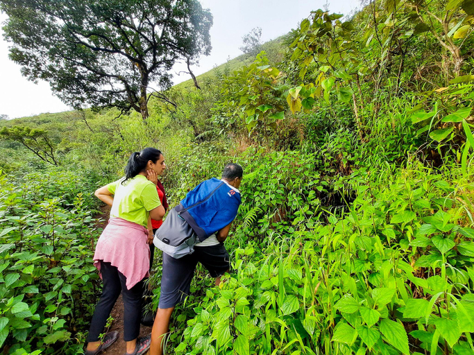 Others 5, RiverMist Resorts, Chikmagalur