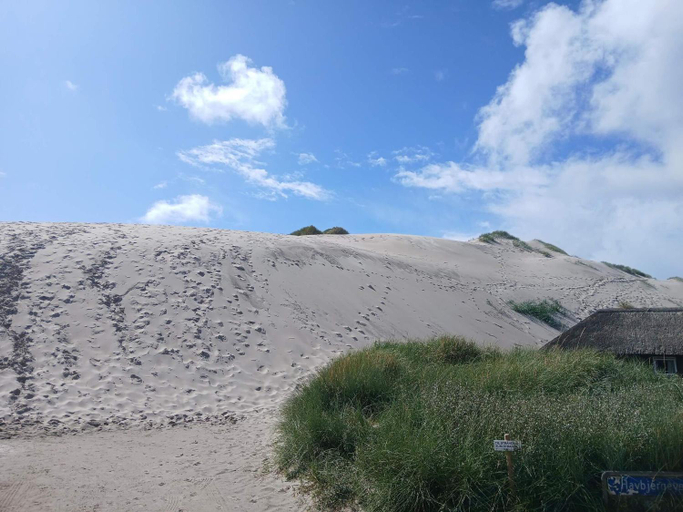 Others 5, Cozy Dune Cottage Retreat-By Traum, Ringkøbing-Skjern
