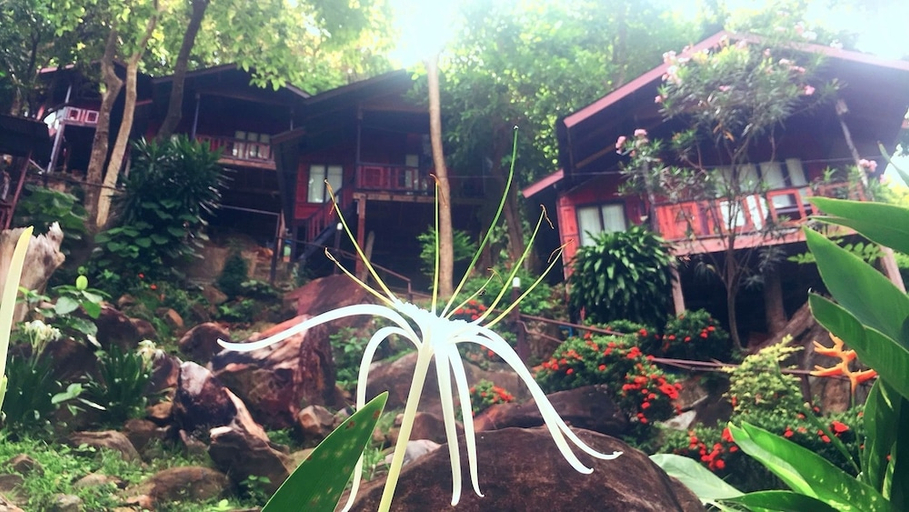 Others 4, Phi Phi Green Hill Resort, Mueang Krabi