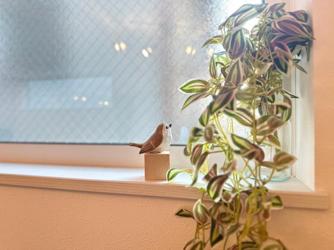5, nestay villa tokyo sugamo, Kita