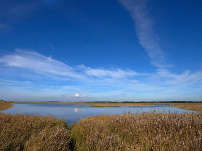 Others 3, person holiday home in Blavand, Varde