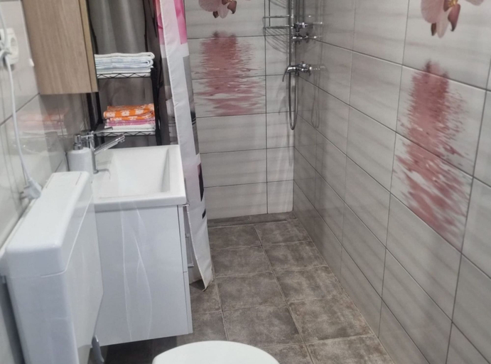 Bathroom, Holiday Home Katica, Marija Bistrica