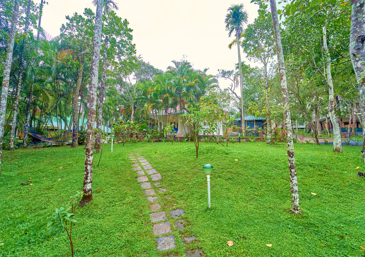 Surrounding environment 4, Kedara Resort Wayanad- pool & pet friendly, Wayanad