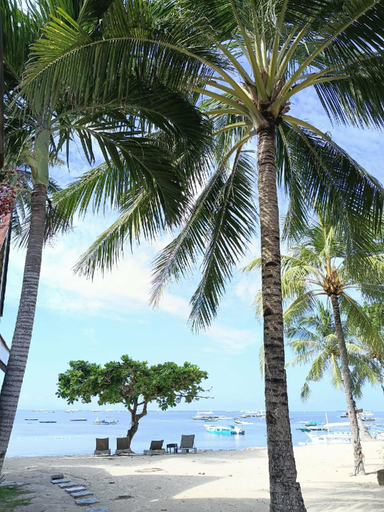 Others 3, Panglao Tropical Villas, Panglao