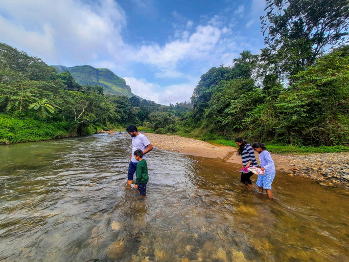 Others 4, RiverMist Resorts, Chikmagalur