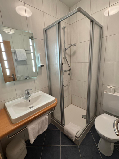 Bathroom 5, Hotel Silberhorn, Nürnberg