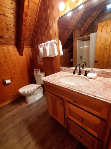 Bathroom 2, Private yet walking distance to downtown, Sevier