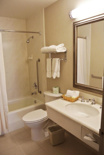 Bathroom 4, Cow Hollow Inn and Suites, San Francisco