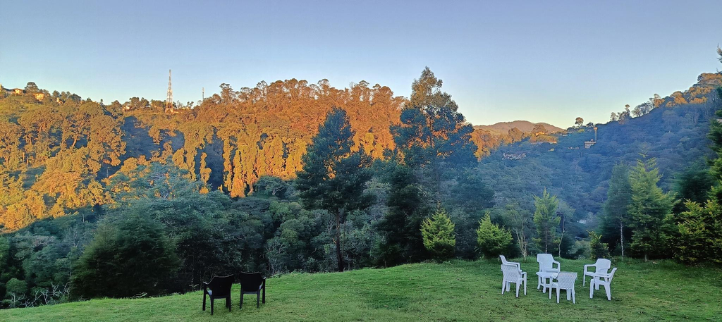 Others 2, White Fern, Jungle View Stay, The Nilgiris