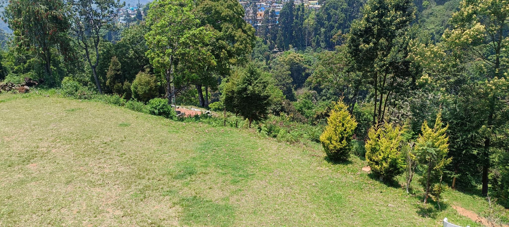 Others 4, White Fern, Jungle View Stay, The Nilgiris