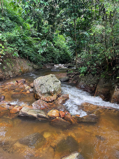 Others 3, Shinrin-Yoku Chiang Mai Homestay, K. Mae On
