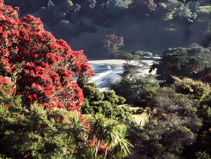 Others 3, Mahurangi West Wing - Luxury Bed and Breakfast, Rodney