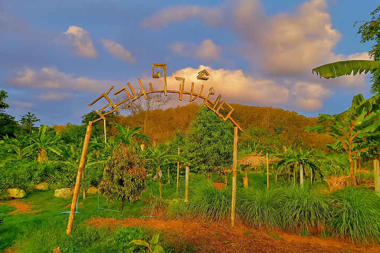 Exterior view 3, Greenheart Garden View Camp Phuket, Pulau Phuket