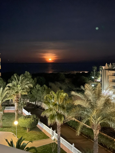 Others 5, Mimosa Apartment, Alicante