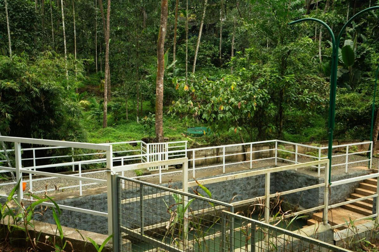 Garden 2, Villa La Vista Homestay, Kozhikode
