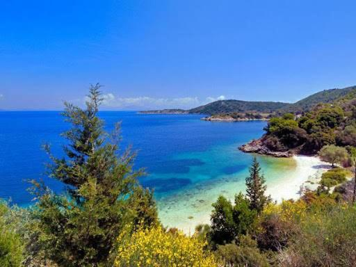 5, Odyssey's Palace - Escape in Mythical Ithaca, Ionian Islands