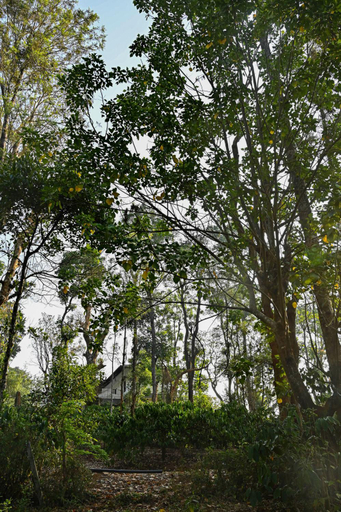 Others 3, Out Of Town Coorg, Kodagu