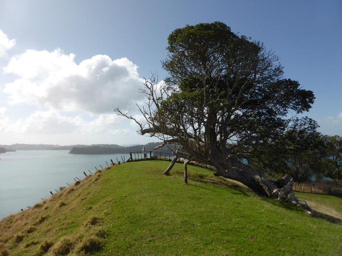 Others 4, Mahurangi West Wing - Luxury Bed and Breakfast, Rodney