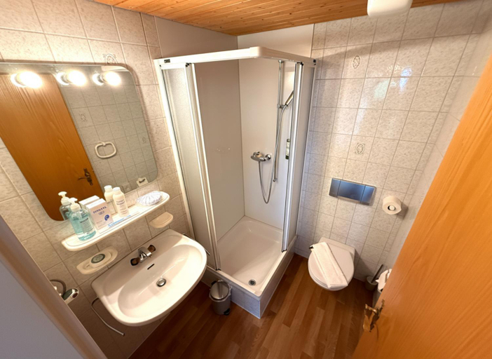 Bathroom 3, Beatenberg Resort & Spa in Beatenberg Interlaken, Interlaken