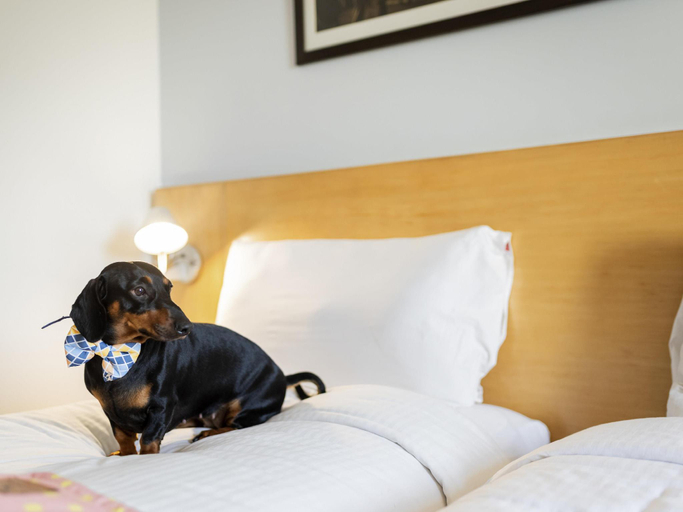Bedroom 3, ibis Gurgaon Hotel - An AccorHotels Brand, Gurgaon