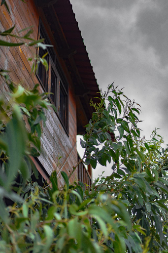Others 3, Casita Del Arbol Trini By GEstores, Pachuca de Soto
