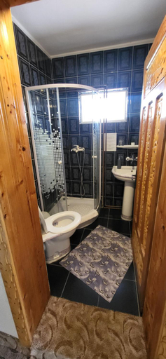 Bathroom 3, Pensiunea Ela Novaci, Novaci