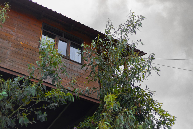 Others 4, Casita Del Arbol Trini By GEstores, Pachuca de Soto