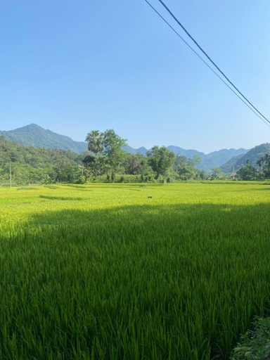 1, Ha Giang Lake View House, Vị Xuyên