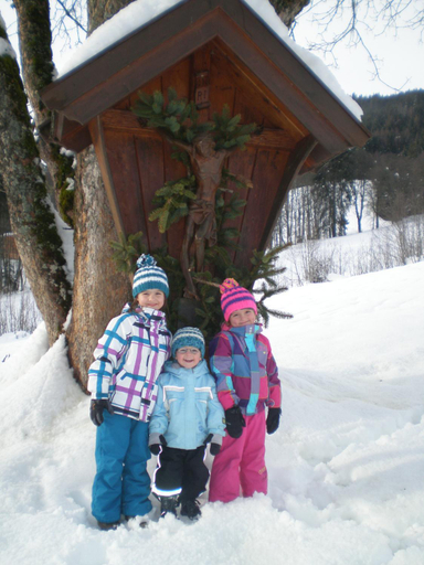 Others 5, Maroldenhof, Zell am See