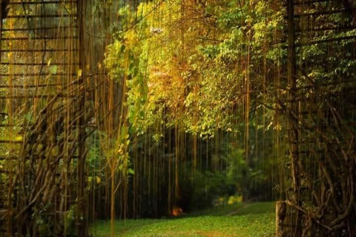 Others 5, Aum Hum Homestay, Fang