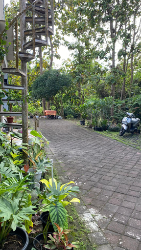 Others 5, D' Jati Homestay , Badung