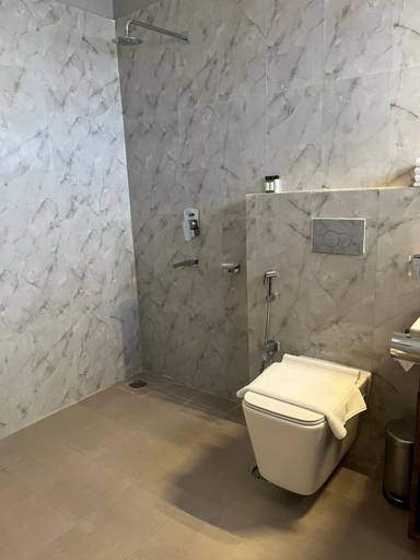 Bathroom 5, Hotel Raks, Leh