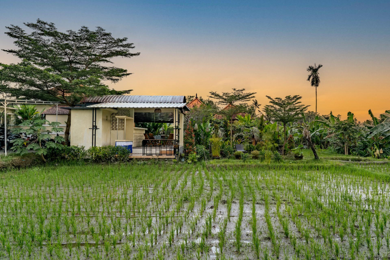 Food & Drinks 5, Puri Uma Dewi Ubud, Gianyar