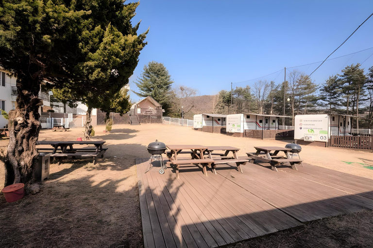 Others 4, Gold Pet Resort, Yongin