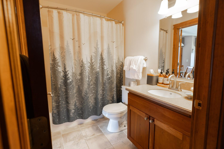 Bathroom 2, Winwood Condominiums by Windham Mountain Club, Greene