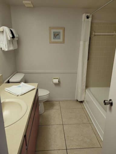Bathroom 3, Oceanique Resort, Brevard
