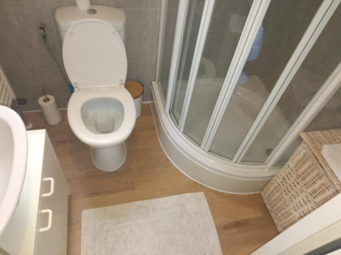 Bathroom 3, Chalet op de veluwe, Putten