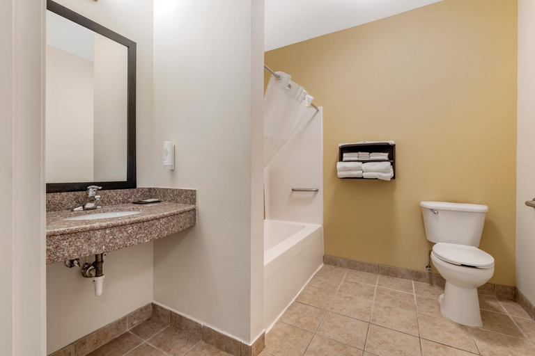 Bathroom 4, Sleep Inn & Suites Wisconsin Rapids Area, Wood