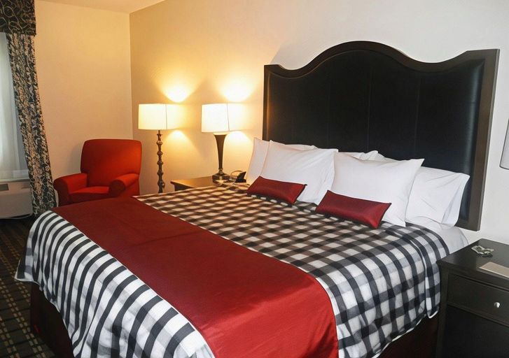 Bedroom 3, Admiral Plaza Hotel, Dubai