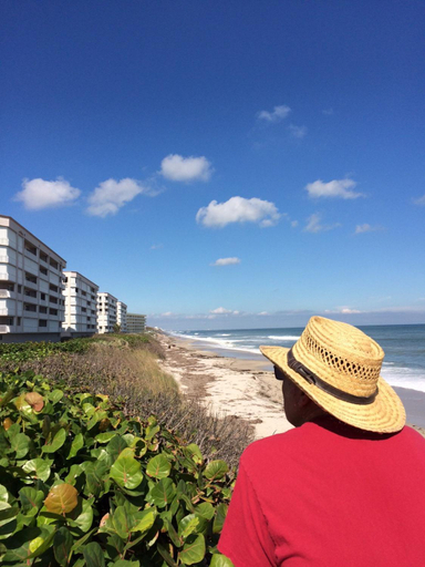 Others 4, Oceanique Resort By Capital Vacations, Brevard