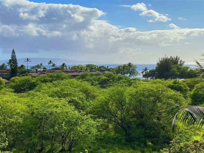 Property grounds 5, Signature Residences at Maui Banyan, Maui