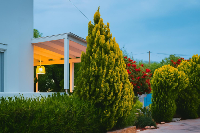 Exterior view 3, Villa Mia - Peaceful Oasis in Ierapetra Crete, Crete