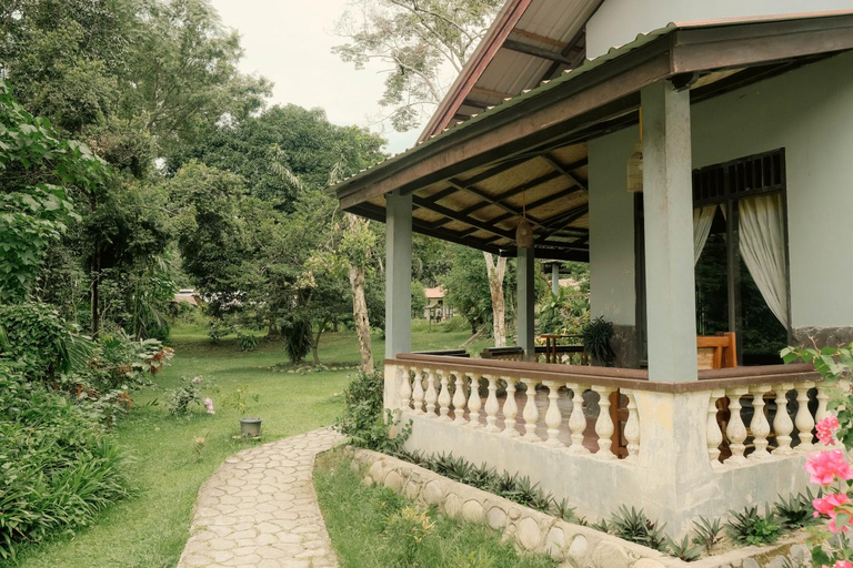 1, Ecolodge Bukit Lawang, Langkat